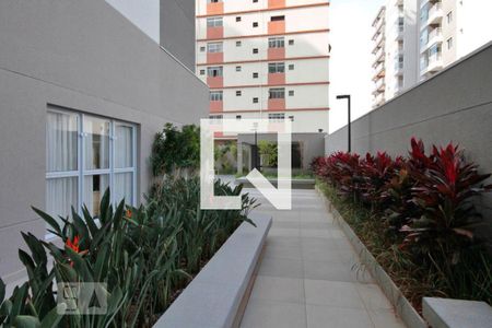 Apartamento para alugar com 20m², 1 quarto e sem vaga