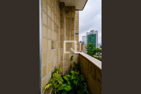 Varanda da sala de apartamento para alugar com 3 quartos, 95m² em Luxemburgo, Belo Horizonte
