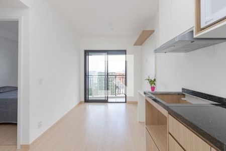 Sala/Cozinha de apartamento para alugar com 1 quarto, 33m² em Santo Amaro, São Paulo