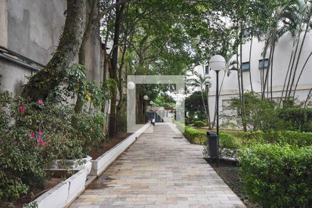 Apartamento para alugar com 56m², 2 quartos e 1 vaga Apartamento para alugar com 56m², 2 quartos e 1 vagaJardim