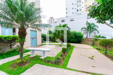 Apartamento para alugar com 78m², 3 quartos e 1 vaga Apartamento para alugar com 78m², 3 quartos e 1 vagaÁrea comum