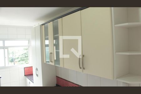 Apartamento para alugar com 52m², 2 quartos e 1 vagaCozinha - Armários