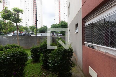 Apartamento à venda com 53m², 2 quartos e 1 vagaVista