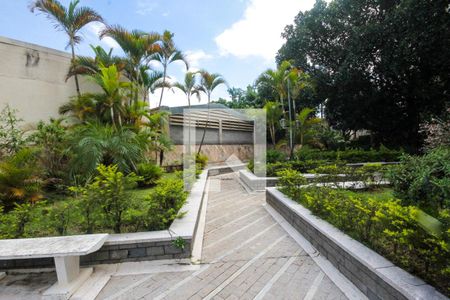 Apartamento para alugar com 60m², 2 quartos e 1 vagaÁrea Verde