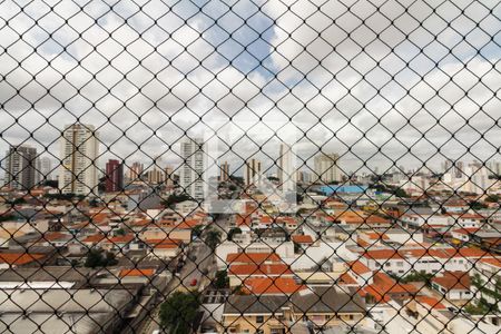 Apartamento à venda com 271m², 3 quartos e 3 vagasVista Varanda Sala de Jantar