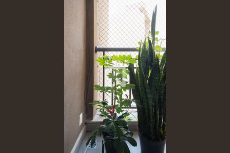 Apartamento à venda com 93m², 3 quartos e 2 vagas Apartamento à venda com 93m², 3 quartos e 2 vagasSacada - Suíte