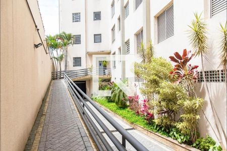 Apartamento à venda com 70m², 2 quartos e sem vaga Apartamento à venda com 70m², 2 quartos e sem vagaEntrada