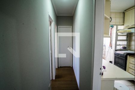 Corredor de apartamento para alugar com 2 quartos, 57m² em Vila Antônio, São Paulo