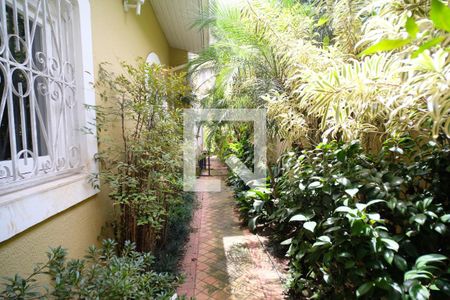 Casa à venda com 360m², 3 quartos e 4 vagasQuintal