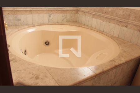 Apartamento à venda com 341m², 5 quartos e 4 vagasBanheira