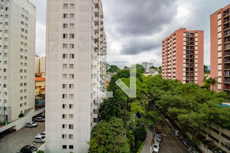 Quarto 1 vista de apartamento para alugar com 2 quartos, 50m² em Vila Parque Jabaquara, São Paulo