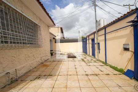 Casa para alugar com 300m², 3 quartos e 3 vagasQuintal