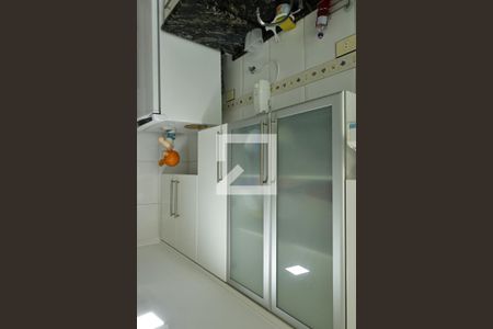 cozinha de apartamento para alugar com 2 quartos, 63m² em Vila Nova Cachoeirinha, São Paulo