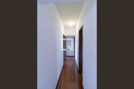 Corredor de apartamento para alugar com 3 quartos, 87m² em Ouro Preto, Belo Horizonte