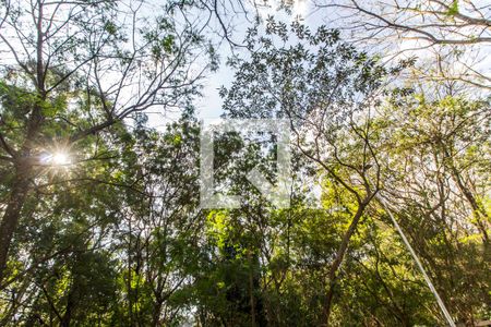 Apartamento para alugar com 67m², 2 quartos e 2 vagas Apartamento para alugar com 67m², 2 quartos e 2 vagasParque