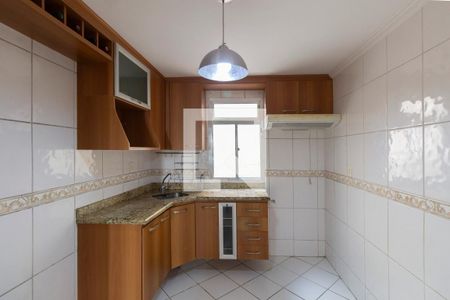 Cozinha de apartamento para alugar com 2 quartos, 46m² em Conjunto Residencial José Bonifácio, São Paulo