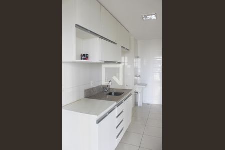 Cozinha - Armários de apartamento para alugar com 3 quartos, 86m² em Vila da Serra, Nova Lima