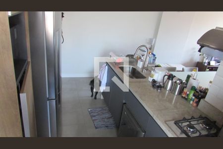Cozinha de apartamento para alugar com 2 quartos, 77m² em Vila Sônia, São Paulo