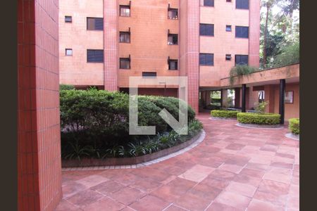 Área comum de apartamento para alugar com 2 quartos, 77m² em Vila Sônia, São Paulo