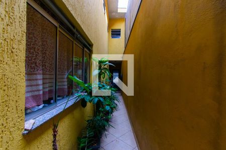 Casa à venda com 250m², 4 quartos e 4 vagasQuintal