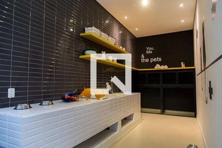 Apartamento para alugar com 36m², 1 quarto e sem vaga Apartamento para alugar com 36m², 1 quarto e sem vagaPet care