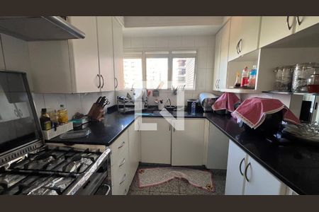 Apartamento à venda com 266m², 4 quartos e 4 vagasCozinha - Armários