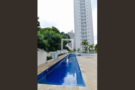 Área comum - Piscina de apartamento para alugar com 2 quartos, 58m² em Jardim Flor da Montanha, Guarulhos