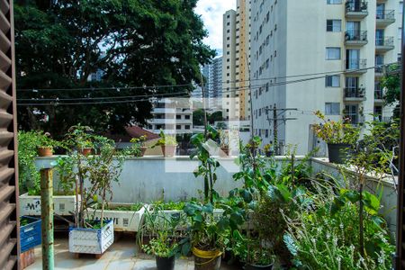 Vista do Studio de casa para alugar com 1 quarto, 60m² em Chácara Inglesa, São Paulo