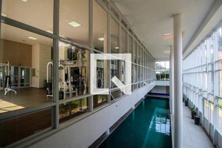 Apartamento para alugar com 65m², 2 quartos e 1 vaga Apartamento para alugar com 65m², 2 quartos e 1 vagaPiscina coberta