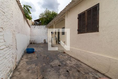 Casa à venda com 312m², 3 quartos e sem vagaQuintal 3