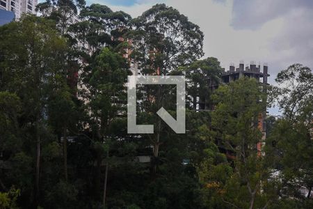 Vista do Quarto 1 de apartamento para alugar com 2 quartos, 48m² em Jardim Parque Morumbi, São Paulo