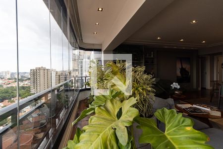 Sala de apartamento para alugar com 4 quartos, 306m² em Jardim da Saúde, São Paulo