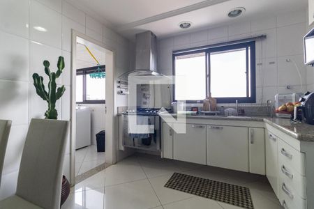 Apartamento à venda com 495m², 4 quartos e 4 vagas Apartamento à venda com 495m², 4 quartos e 4 vagasCozinha