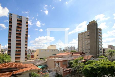 Vista da Sala de apartamento à venda com 3 quartos, 96m² em Santo Antônio, Belo Horizonte