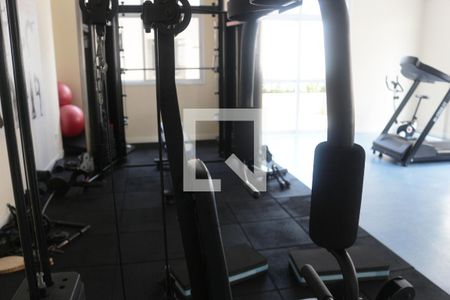 Apartamento à venda com 65m², 2 quartos e 1 vagaÁrea comum - Academia