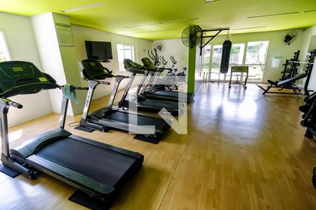 Apartamento à venda com 75m², 2 quartos e 1 vagaÁrea comum - Academia