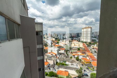 Apartamento à venda com 506m², 4 quartos e 3 vagasVista da Cozinha