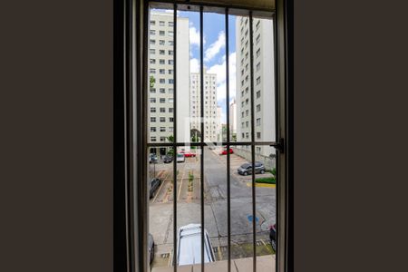 Quarto 1 de apartamento para alugar com 2 quartos, 50m² em Jardim Tiro Ao Pombo, São Paulo