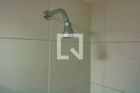 Apartamento para alugar com 71m², 2 quartos e 1 vaga Apartamento para alugar com 71m², 2 quartos e 1 vagaBanheiro 1