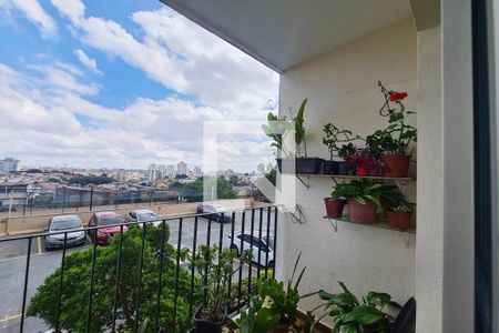 Varanda da Sala de apartamento à venda com 3 quartos, 75m² em Vila Ivone, São Paulo