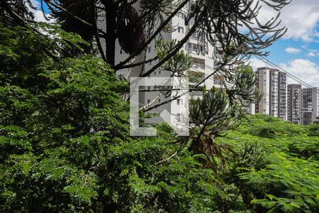 Vista de apartamento para alugar com 2 quartos, 63m² em Vila Andrade, São Paulo