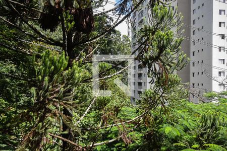 Vista do Quarto 1 de apartamento para alugar com 2 quartos, 63m² em Vila Andrade, São Paulo