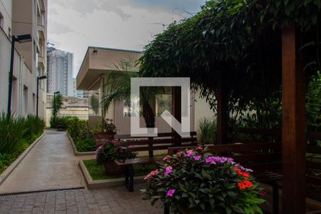 Apartamento à venda com 57m², 2 quartos e 1 vagaÁREA COMUM  -  ÁREA VERDE