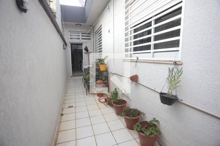 Apartamento para alugar com 340m², 5 quartos e 5 vagasarea externa