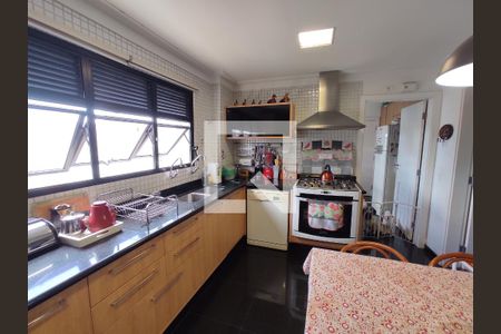 Apartamento à venda com 180m², 3 quartos e 3 vagasCozinha - Armários