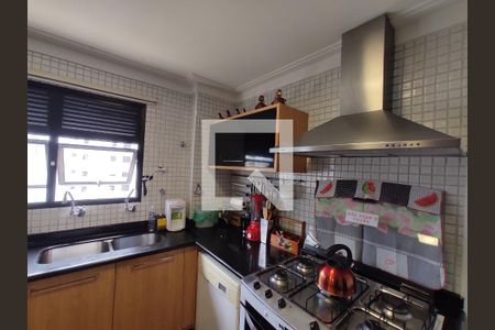 Apartamento à venda com 180m², 3 quartos e 3 vagasCozinha - Armários