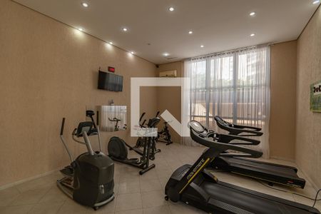 Apartamento à venda com 260m², 3 quartos e 4 vagasÁrea comum - Academia