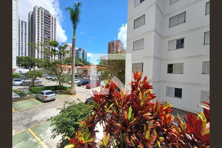 Apartamento para alugar com 68m², 2 quartos e 1 vaga Apartamento para alugar com 68m², 2 quartos e 1 vagaVista do Quarto