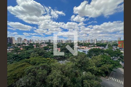 Studio para alugar com 23m², 1 quarto e sem vagaVista