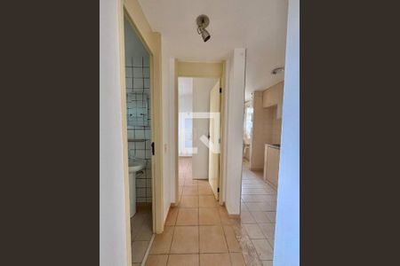 Apartamento à venda com 2 quartos, 62m² em Jardim São Vicente, Campinas